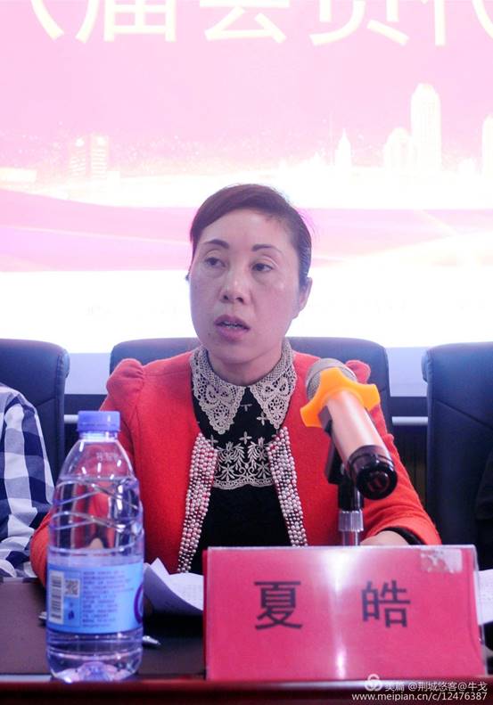 怀化市鹤城区书法家协会,怀化书法家协会