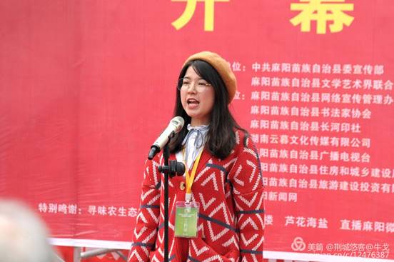 怀化市鹤城区书法家协会,怀化书法家协会